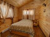 Pine Wood