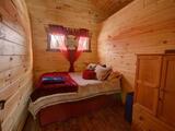 Pine Wood