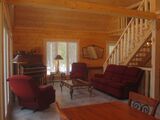 Pine Wood