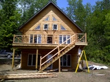 Pine Wood